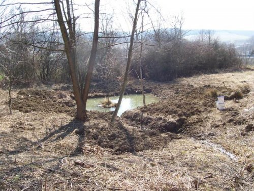 Studánka na Popovsku - 19.3.2005